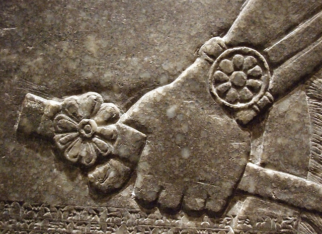 Detail of an Assyrian Winged Protective Deity in the Boston Museum of Fine Arts, June 2010
