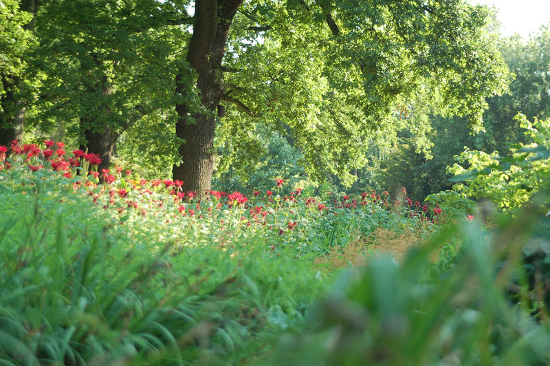 Planten und Blomen