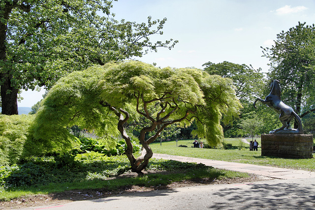 Im Höhenpark Killesberg