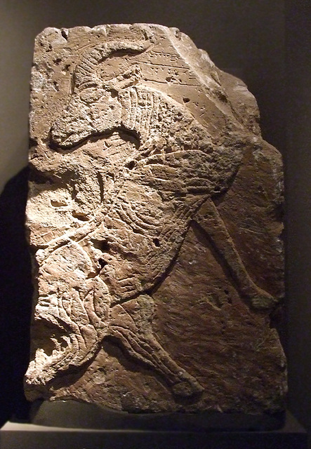 Goat Relief in the Walters Art Museum, September 2009