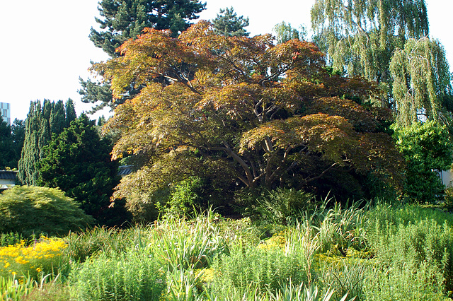 Planten und Blomen