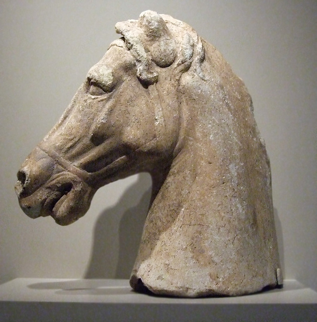 Head of a Horse in the Walters Art Museum, September 2009