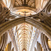 Wells Cathedral -  20140807