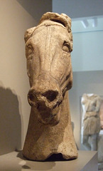 Head of a Horse in the Walters Art Museum, September 2009