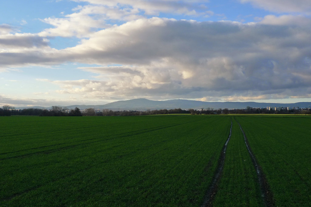 taunus-blick-1180018