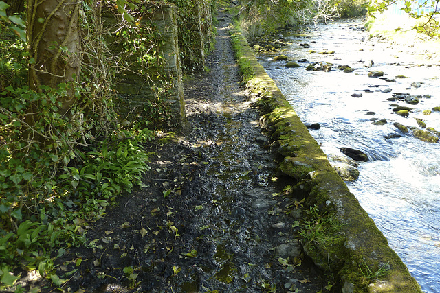 Isle of Man 2013 – The muddy path