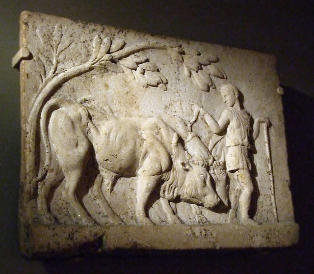Relief of a Herdsman and Oxen in the Walters Art Museum, September 2009