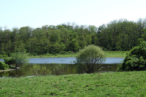 ipernity: Lake in Old Bethpage Village Restoration, May 2007 - by ...