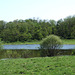Lake in Old Bethpage Village Restoration, May 2007
