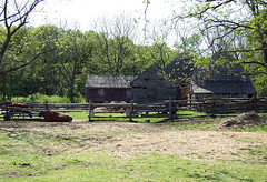 The Powell Farmyard in Old Bethpage Village Restoration, May 2007