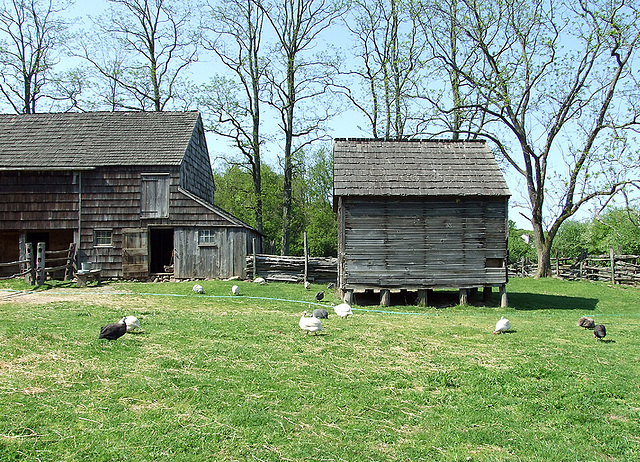 The Powell Farmyard in Old Bethpage Village Restoration, May 2007