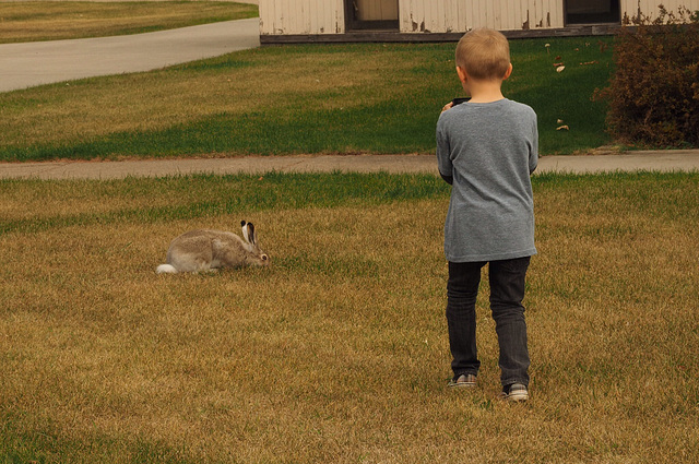 Getting That Perfect Bunny Picture