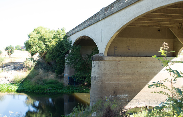 Modesto, CA Lion Bridge (0418)