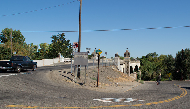 Modesto, CA Lion Bridge (0420)