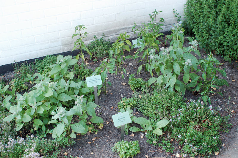 Planten und Blomen