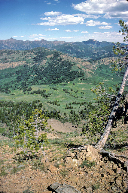 2-30-toward_Jarbidge_Mtns_adj