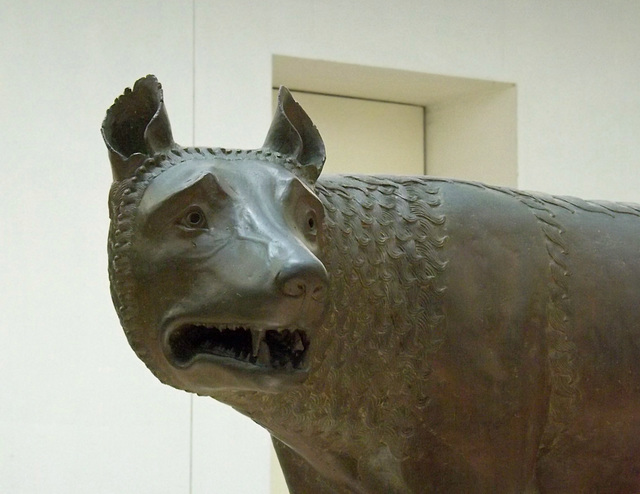 Detail of the Capitoline Wolf in the Capitoline Museum, June 2012