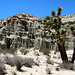 Red Rock Canyon State Park