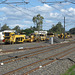 200904Wacol 008