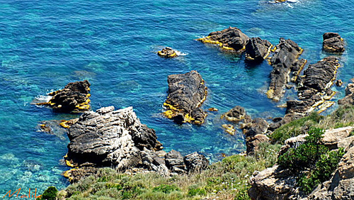 DSCF2456