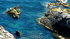 DSCF2457
