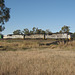 200909 NW NSW 004