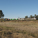 200909 NW NSW 001