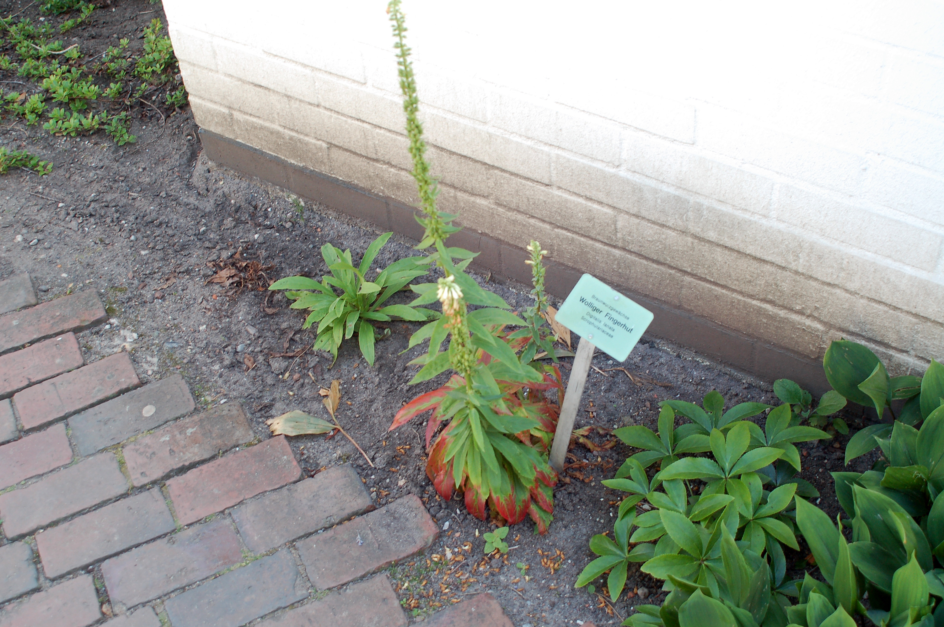 Planten und Blomen