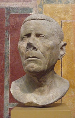 Bust of an Old Man in the Boston Museum of Fine Arts, October 2009