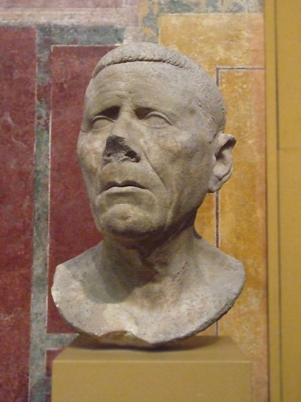 Bust of an Old Man in the Boston Museum of Fine Arts, October 2009