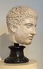 Head of Diomedes in the Boston Museum of Fine Arts, October 2009