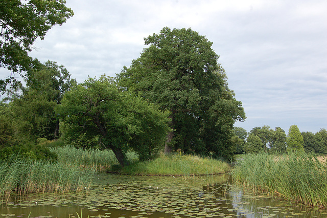 Insuleto en lago Granda Baraĵtruo (Inselchen im  See Großes Walloch)