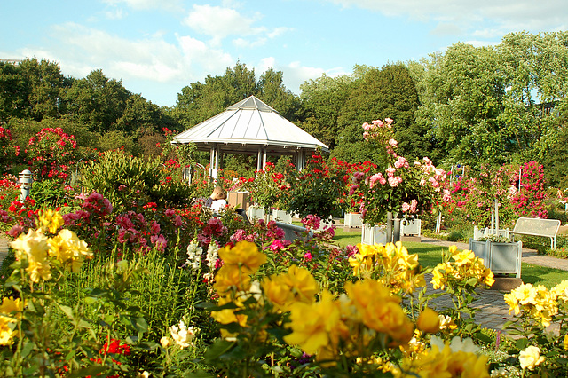 Planten und Blomen