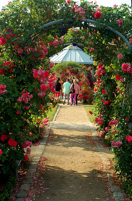 Planten und Blomen