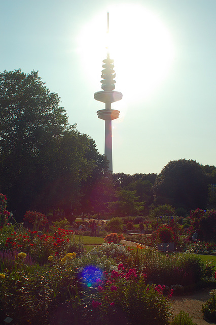 Planten und Blomen