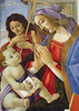 Detail of the Virgin and Child with St. John the Baptist by Botticelli in the Boston Museum of Fine Arts, June 2010