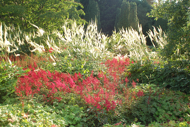 Planten und Blomen