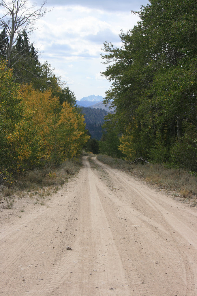 Outside Swauger Creek