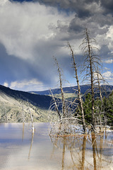 Canary Spring, Yellowstone National Park