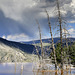 Canary Spring, Yellowstone National Park