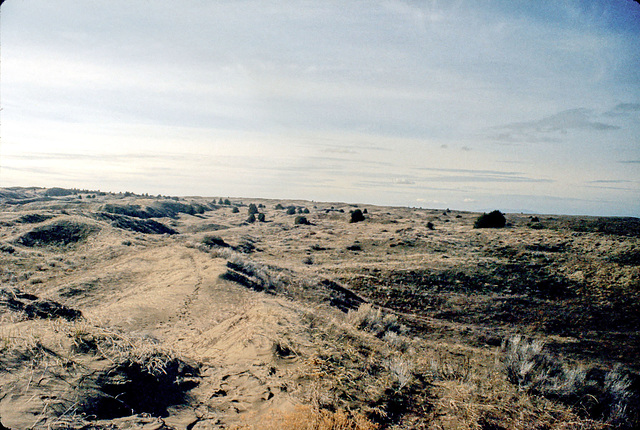 24-dune_field_adj