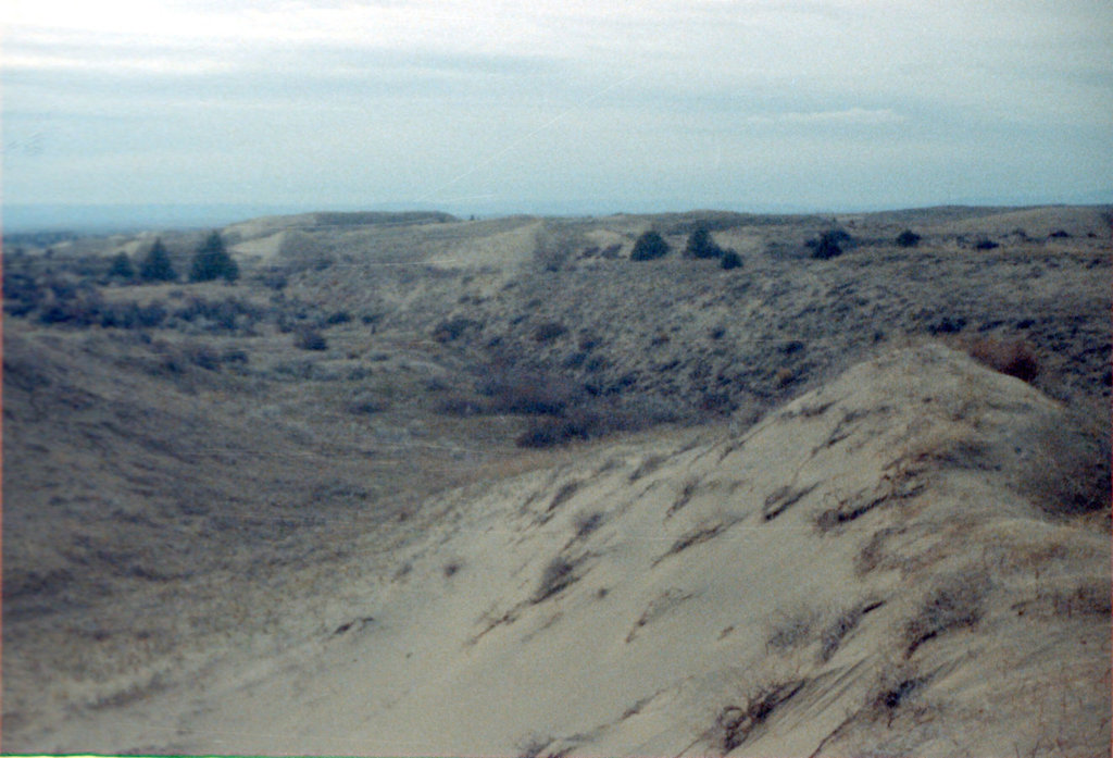 16-@dunes_ig2_adj