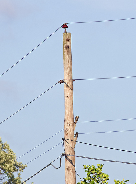 Rare remnant open wire phone line