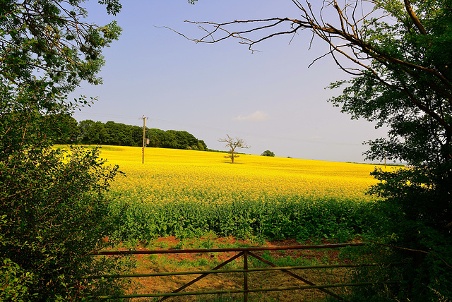 Billington Farm,  Stafford