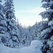 31-snow_near_bluewood_adj