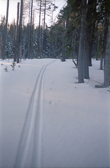 08-track_in_snow_ig_adj