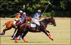 Polo (West Wycombe) (1)