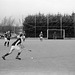 Fingal 2nd's vs Banbridge, IJC 090213