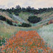 Detail of Poppy Field in a Hollow Near Giverny by Monet in the Boston Museum of Fine Arts, June 2010