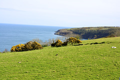 Isle of Man 2013 – Coast